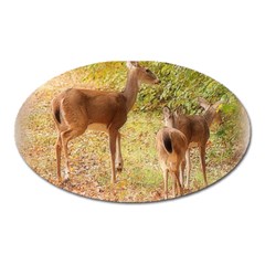 Deer In Nature Magnet (oval) by uniquedesignsbycassie