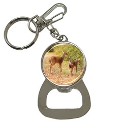 Deer In Nature Bottle Opener Key Chain