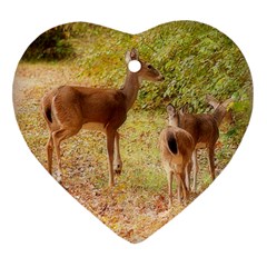 Deer In Nature Heart Ornament (two Sides)