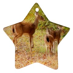 Deer In Nature Star Ornament (two Sides) by uniquedesignsbycassie