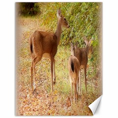 Deer In Nature Canvas 12  X 16  (unframed)