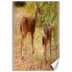 Deer In Nature Canvas 12  X 18  (unframed)