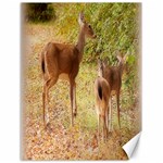 Deer in Nature Canvas 18  x 24  (Unframed) 17.8 x23.08  Canvas - 1