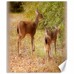 Deer In Nature Canvas 20  X 24  (unframed) by uniquedesignsbycassie