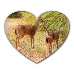 Deer In Nature Mouse Pad (heart)