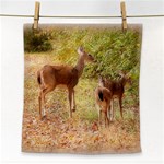 Deer in Nature Face Towel Front