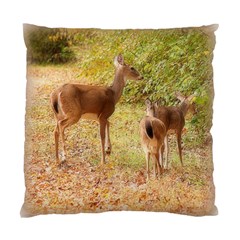 Deer In Nature Cushion Case (two Sided)  by uniquedesignsbycassie