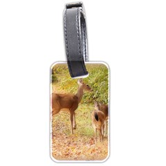 Deer In Nature Luggage Tag (two Sides)