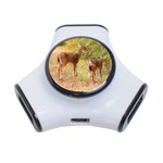 Deer in Nature 3 Port USB Hub Front