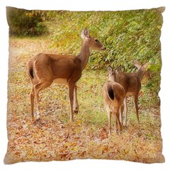 Deer In Nature Large Cushion Case (single Sided) 