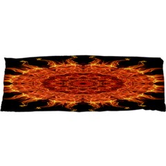 Flaming Sun Samsung S3350 Hardshell Case by Zandiepants