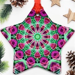 Flower Garden Star Ornament (two Sides)