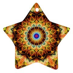 Ochre Burnt Glass Star Ornament (two Sides)