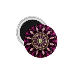 Purple Flower 1 75  Button Magnet by Zandiepants