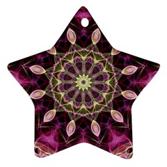 Purple Flower Star Ornament (two Sides) by Zandiepants