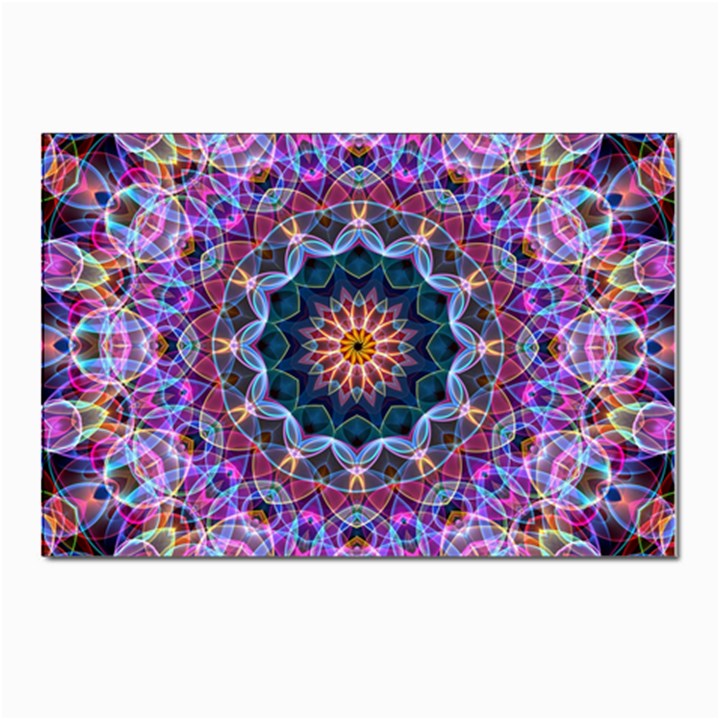 Purple Lotus Postcards 5  x 7  (10 Pack)