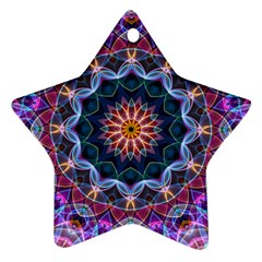 Purple Lotus Star Ornament (two Sides) by Zandiepants