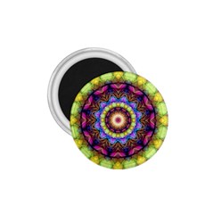 Rainbow Glass 1 75  Button Magnet