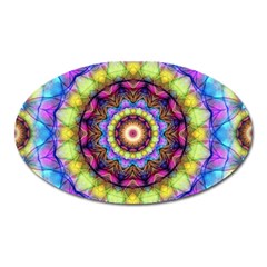 Rainbow Glass Magnet (oval) by Zandiepants