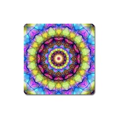 Rainbow Glass Magnet (square) by Zandiepants