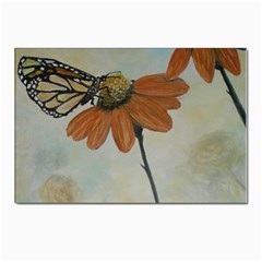 Monarch Postcard 4 x 6  (10 Pack) by rokinronda