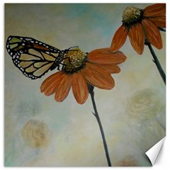 Monarch Canvas 12  X 12  (unframed)