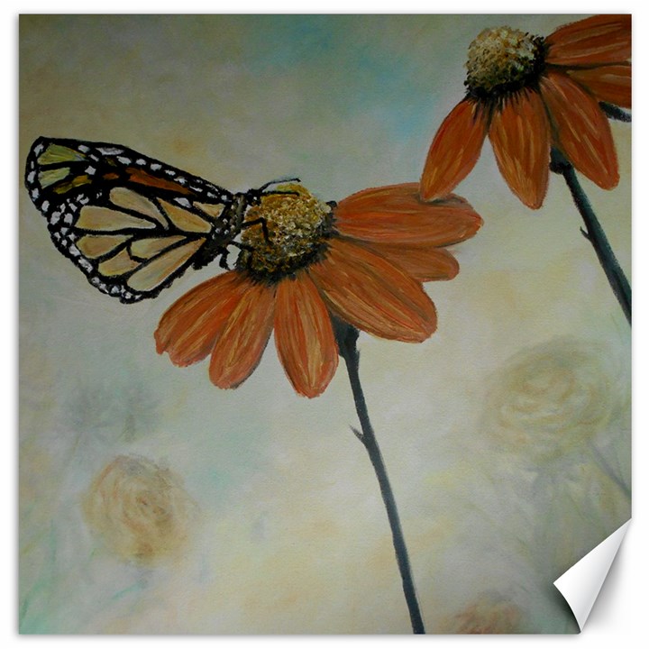 Monarch Canvas 16  x 16  (Unframed)