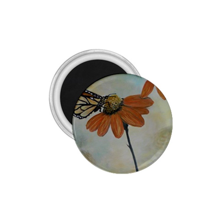 Monarch 1.75  Button Magnet