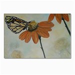 Monarch Postcards 5  x 7  (10 Pack) Front