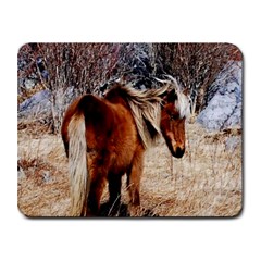 Pretty Pony Small Mouse Pad (rectangle) by Rbrendes