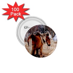 Pretty Pony 1 75  Button (100 Pack)