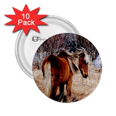 Pretty Pony 2 25  Button (10 Pack) by Rbrendes