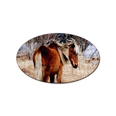 Pretty Pony Sticker (oval)