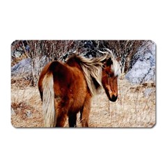 Pretty Pony Magnet (rectangular) by Rbrendes