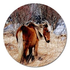 Pretty Pony Magnet 5  (round) by Rbrendes