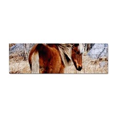 Pretty Pony Bumper Sticker 10 Pack