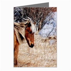 Pretty Pony Greeting Card by Rbrendes