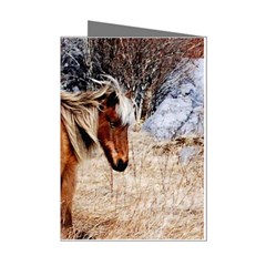 Pretty Pony Mini Greeting Card (8 Pack)