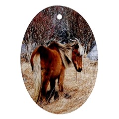 Pretty Pony Oval Ornament (two Sides) by Rbrendes