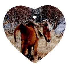 Pretty Pony Heart Ornament (two Sides) by Rbrendes