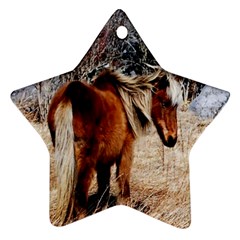 Pretty Pony Star Ornament (two Sides) by Rbrendes