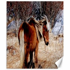 Pretty Pony Canvas 8  X 10  (unframed) by Rbrendes