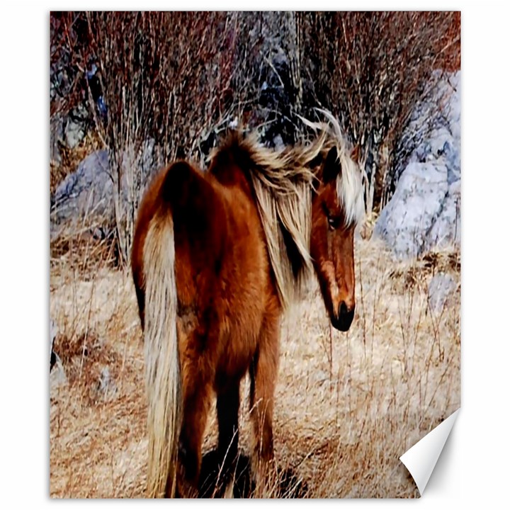 Pretty Pony Canvas 8  x 10  (Unframed)