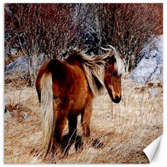 Pretty Pony Canvas 12  X 12  (unframed)