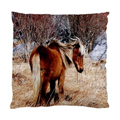 Pretty Pony Cushion Case (single Sided) 