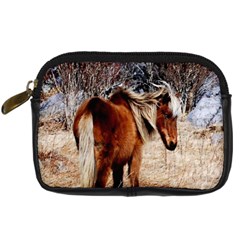 Pretty Pony Digital Camera Leather Case by Rbrendes