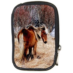 Pretty Pony Compact Camera Leather Case by Rbrendes