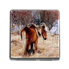 Pretty Pony Memory Card Reader With Storage (square) by Rbrendes