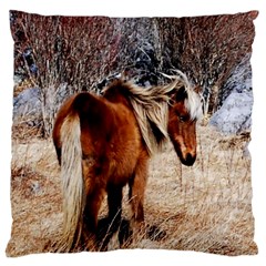 Pretty Pony Large Cushion Case (single Sided) 