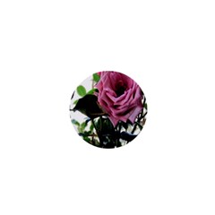 Rose 1  Mini Button Magnet